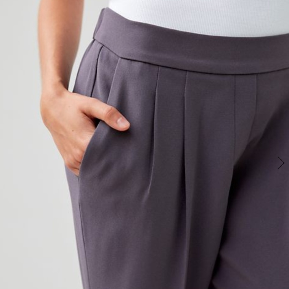Aritzia Cohen Dress Pant